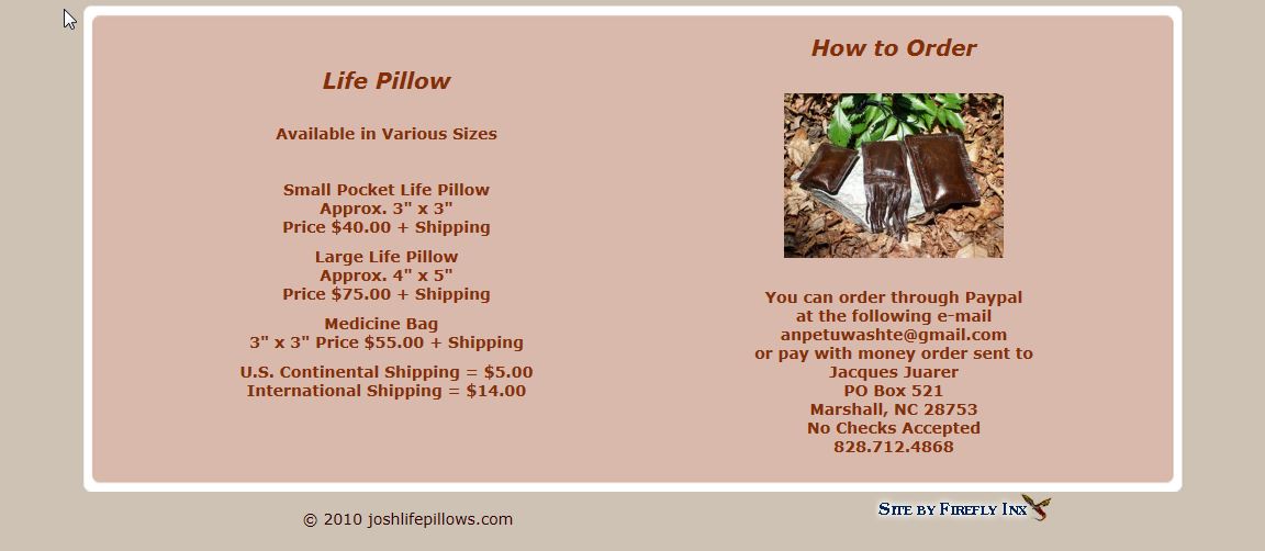 ORGONITEPLUS JOSH LIFE PILLOW ORIGINAL WEBSITE_Page_11.jpg