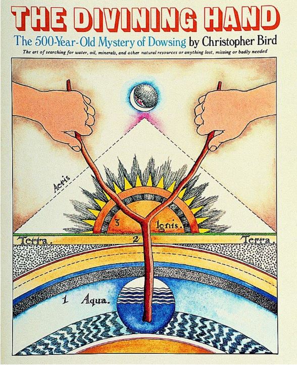 The Divining Hand_ The 500 Year-Old Mystery of Dowsing_ Bird, Christopher_ 97809.jpg