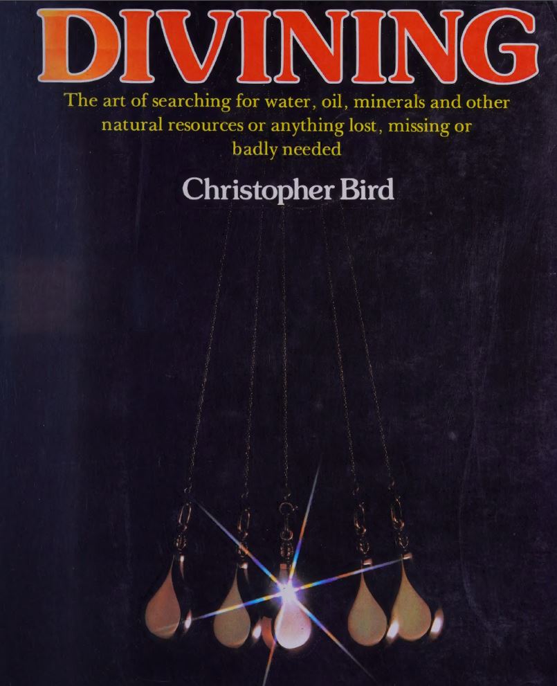 Divining Chris Bird.jpg